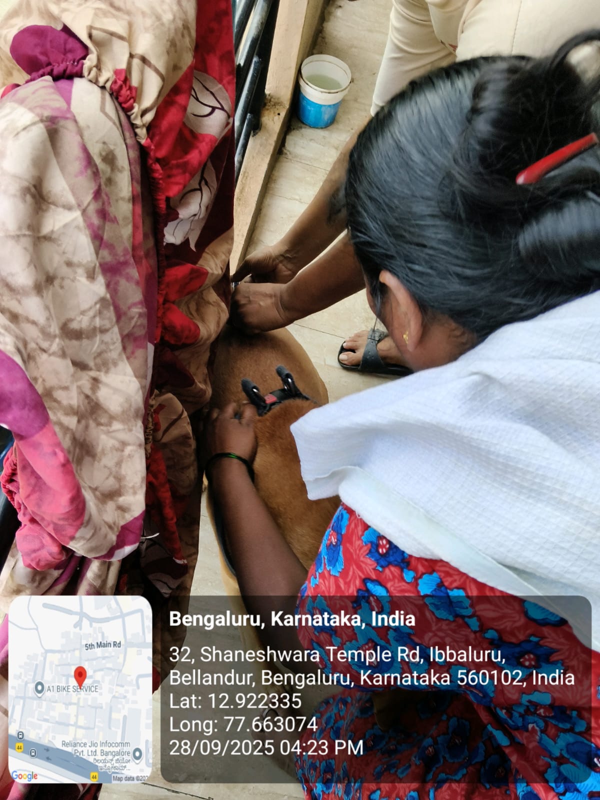 WhatsApp Image 2025-09-29 at 12.09.17 PM (1)