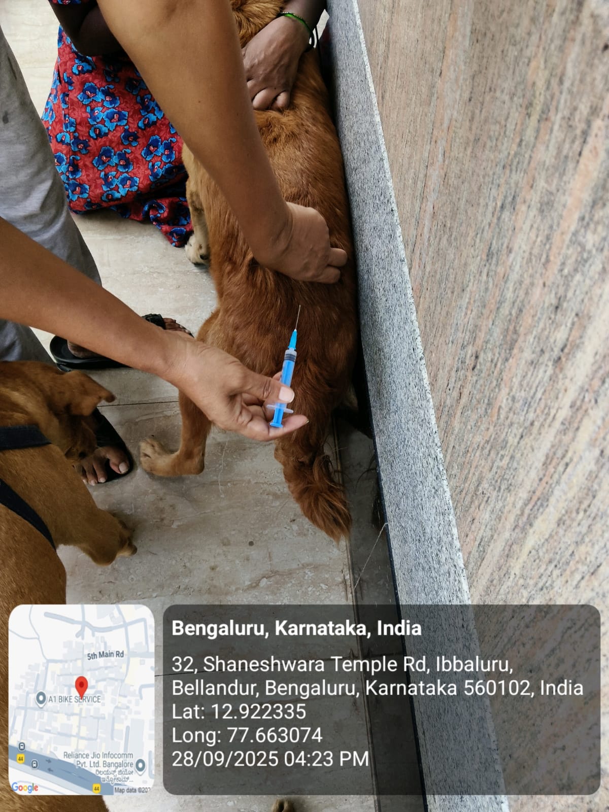 WhatsApp Image 2025-09-29 at 12.09.17 PM