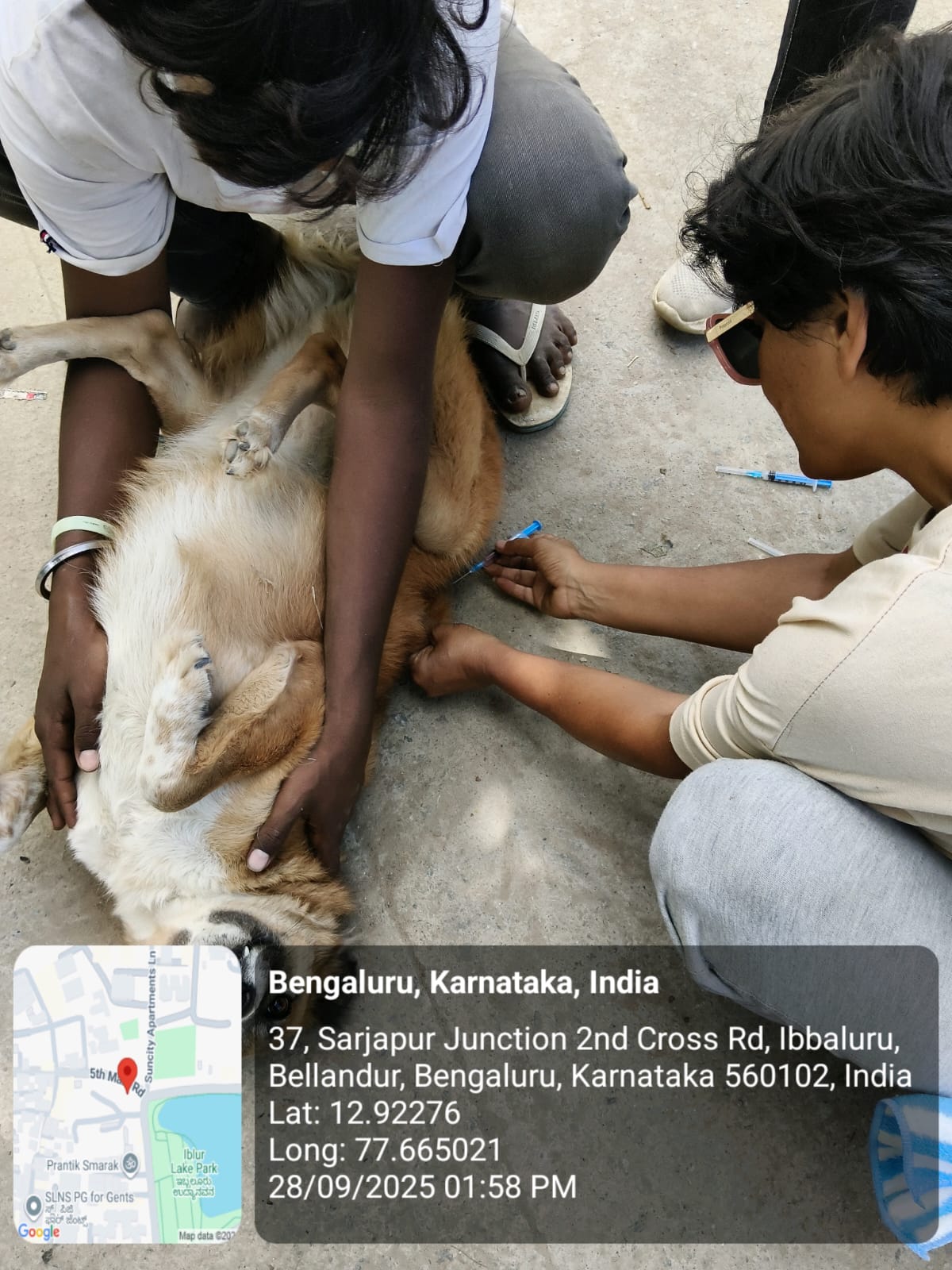 WhatsApp Image 2025-09-30 at 1.02.10 PM (2)