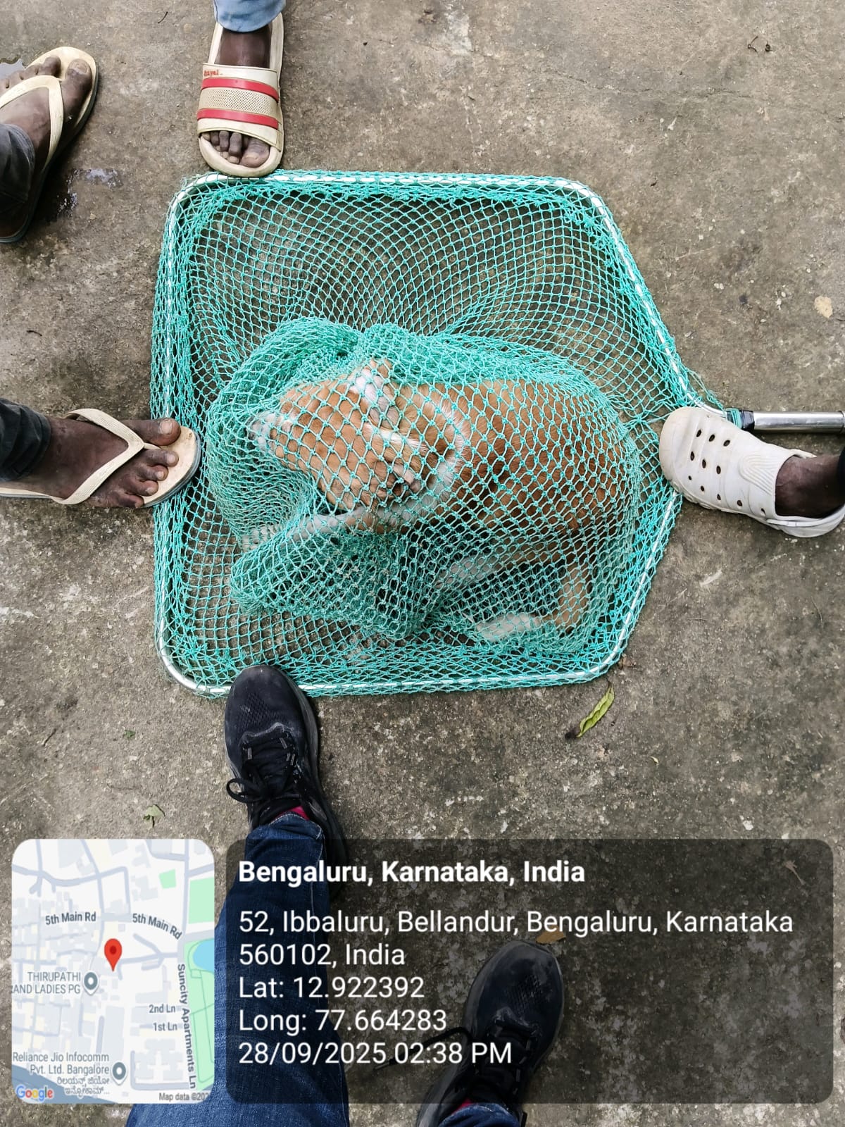 WhatsApp Image 2025-09-30 at 1.02.11 PM (1)