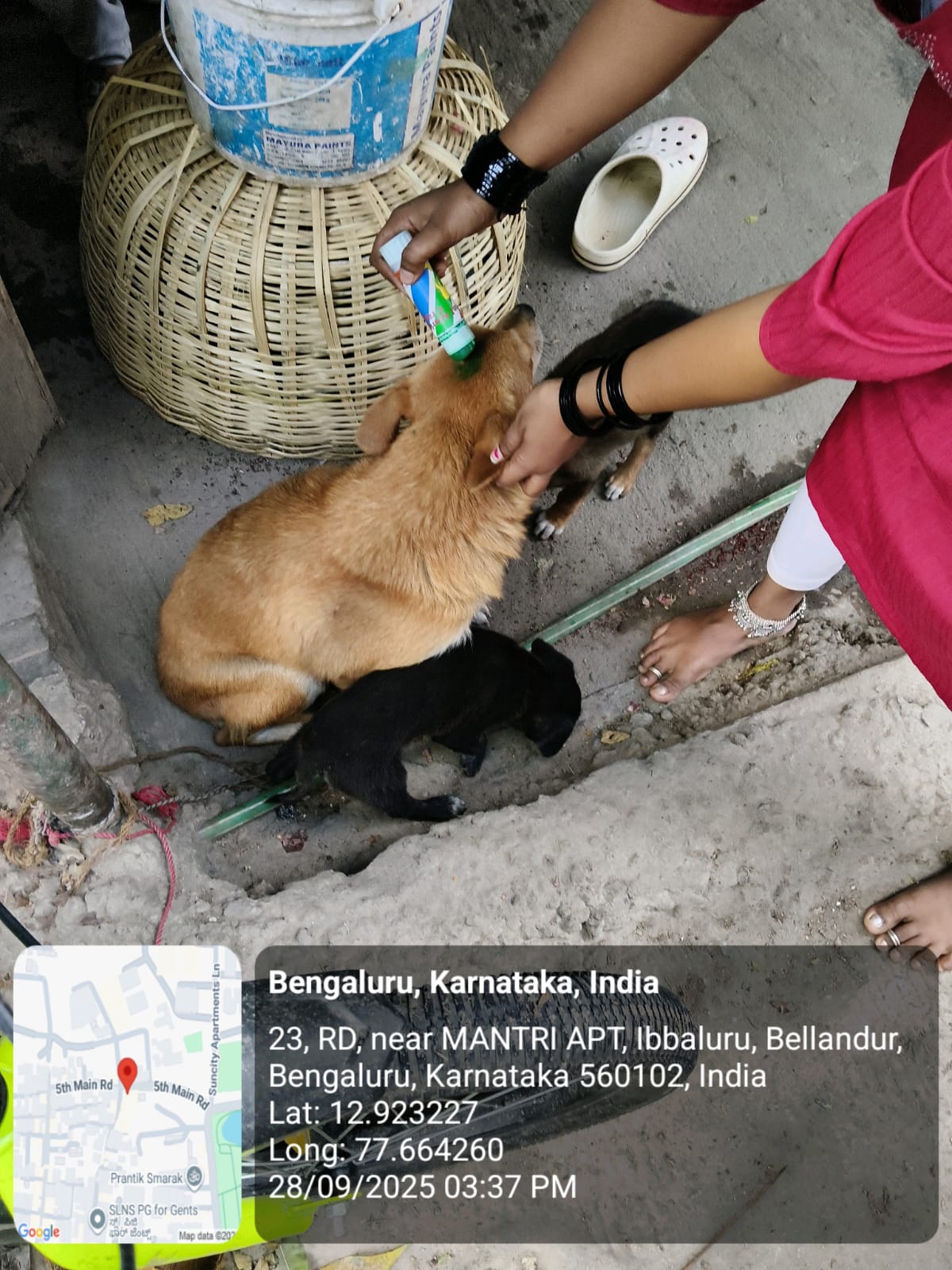 WhatsApp Image 2025-09-30 at 1.02.11 PM (3)