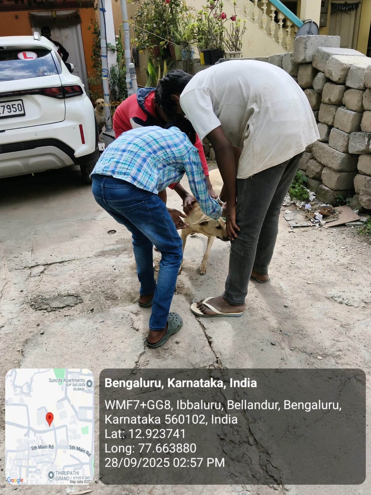 WhatsApp Image 2025-09-30 at 1.02.12 PM (1)