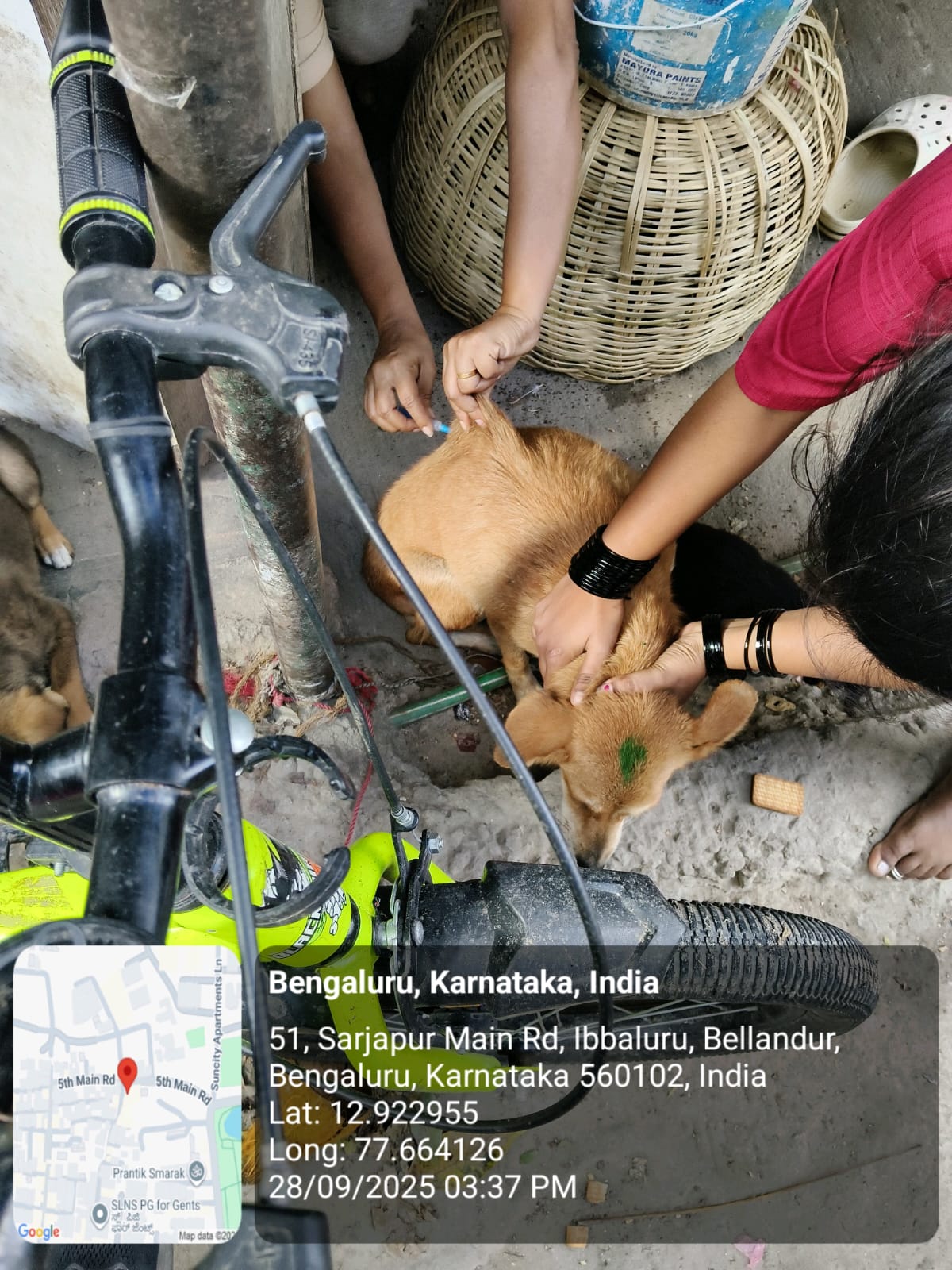 WhatsApp Image 2025-09-30 at 1.02.13 PM (1)