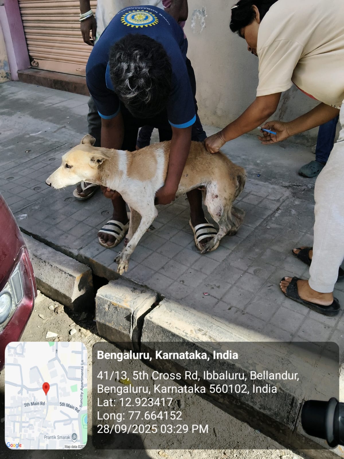 WhatsApp Image 2025-09-30 at 1.02.13 PM