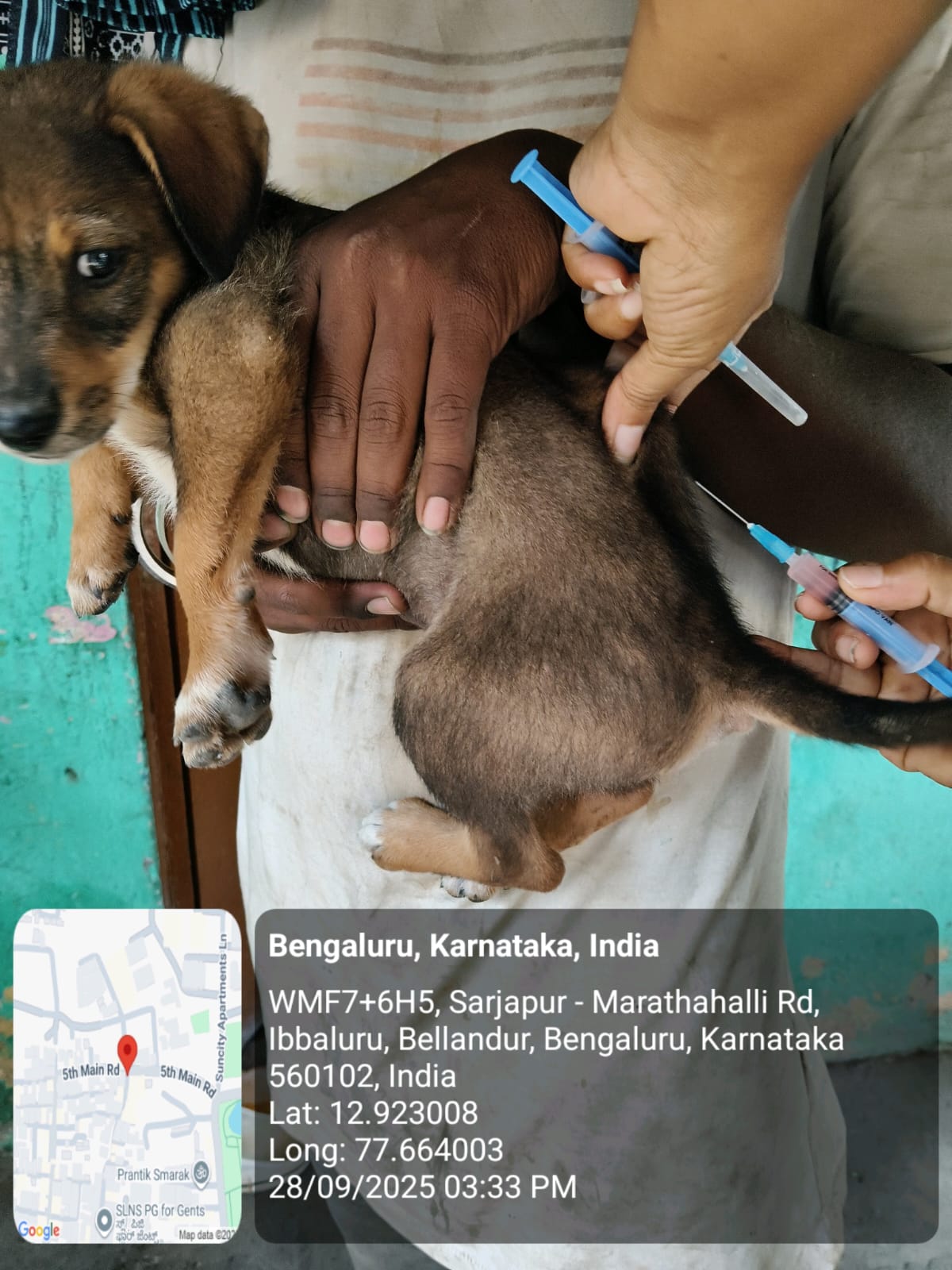 WhatsApp Image 2025-09-30 at 1.02.14 PM