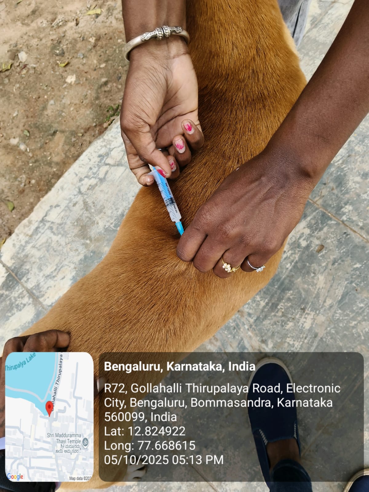 WhatsApp Image 2025-10-06 at 10.41.17 AM (2)