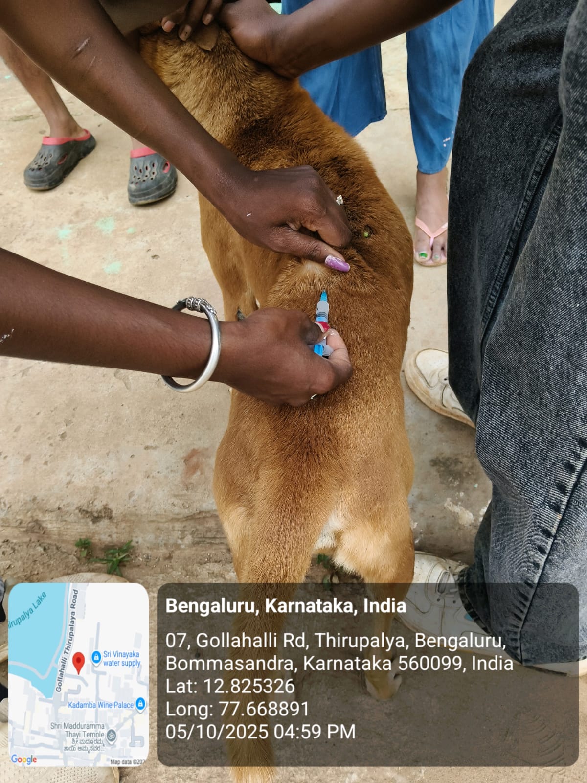 WhatsApp Image 2025-10-06 at 10.41.18 AM (1)