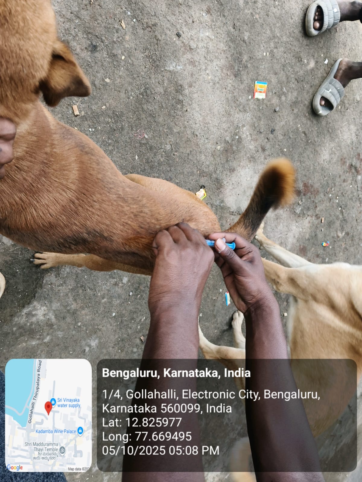 WhatsApp Image 2025-10-06 at 10.41.18 AM (2)