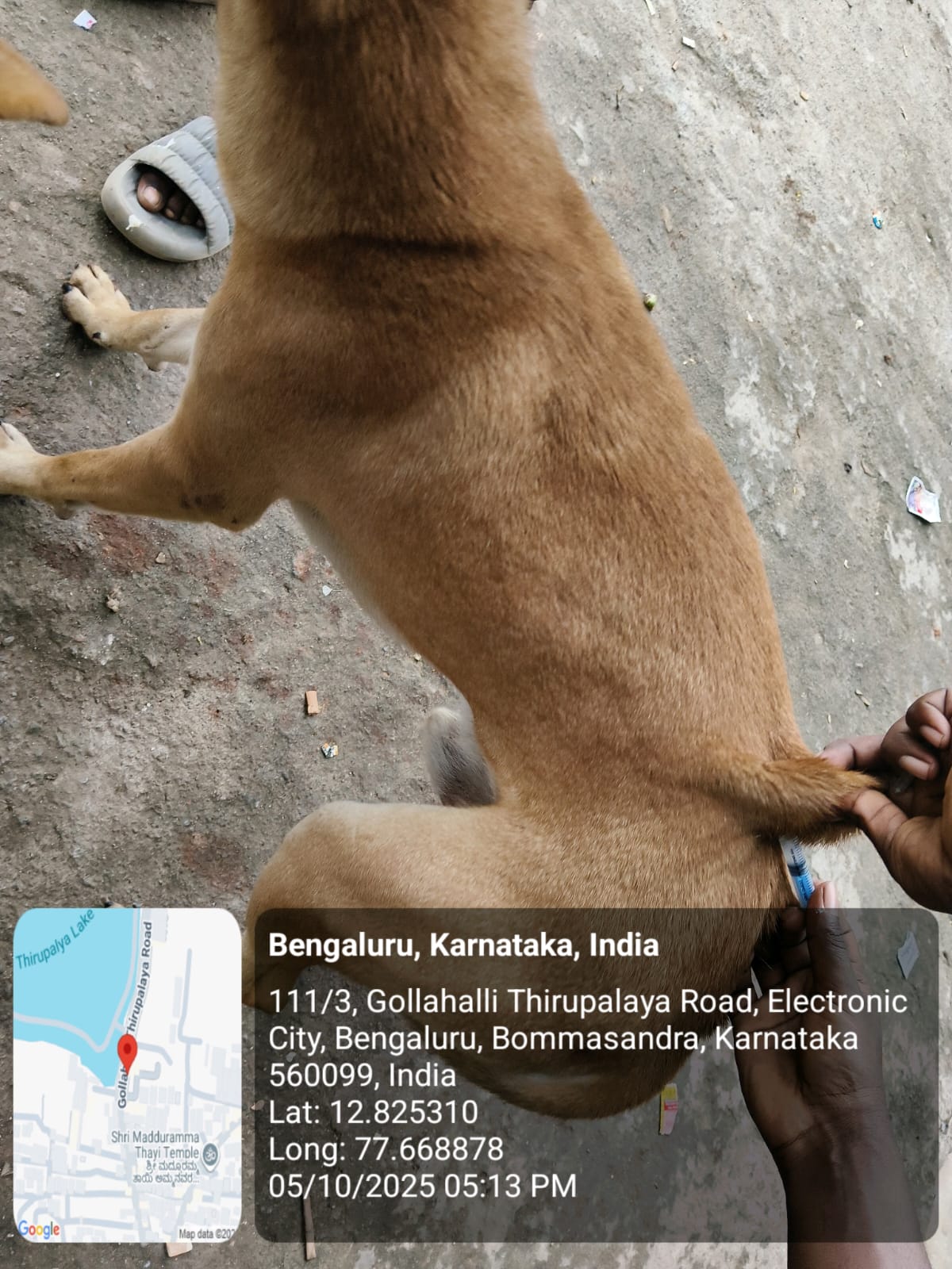 WhatsApp Image 2025-10-06 at 10.41.18 AM (3)