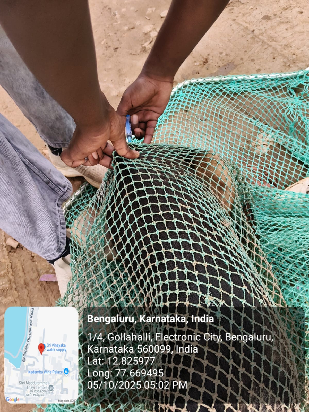 WhatsApp Image 2025-10-06 at 10.41.18 AM