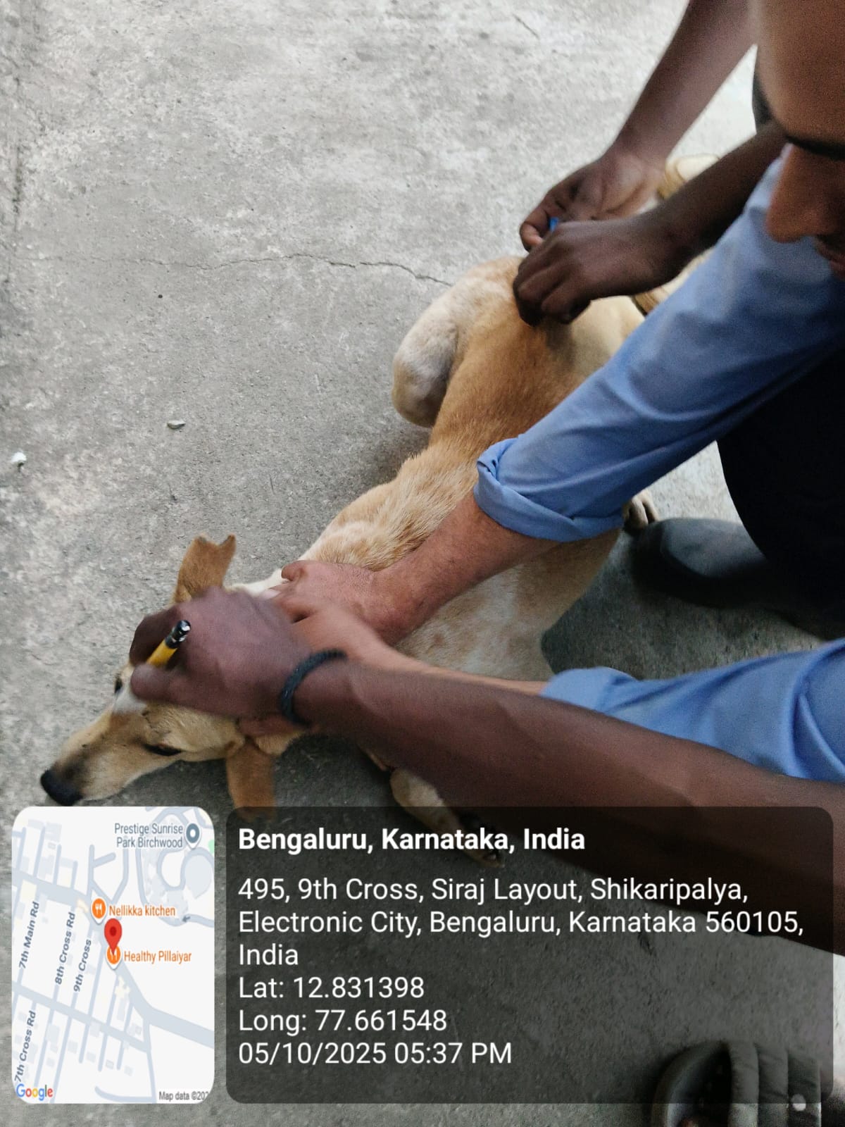 WhatsApp Image 2025-10-06 at 10.41.19 AM (1)