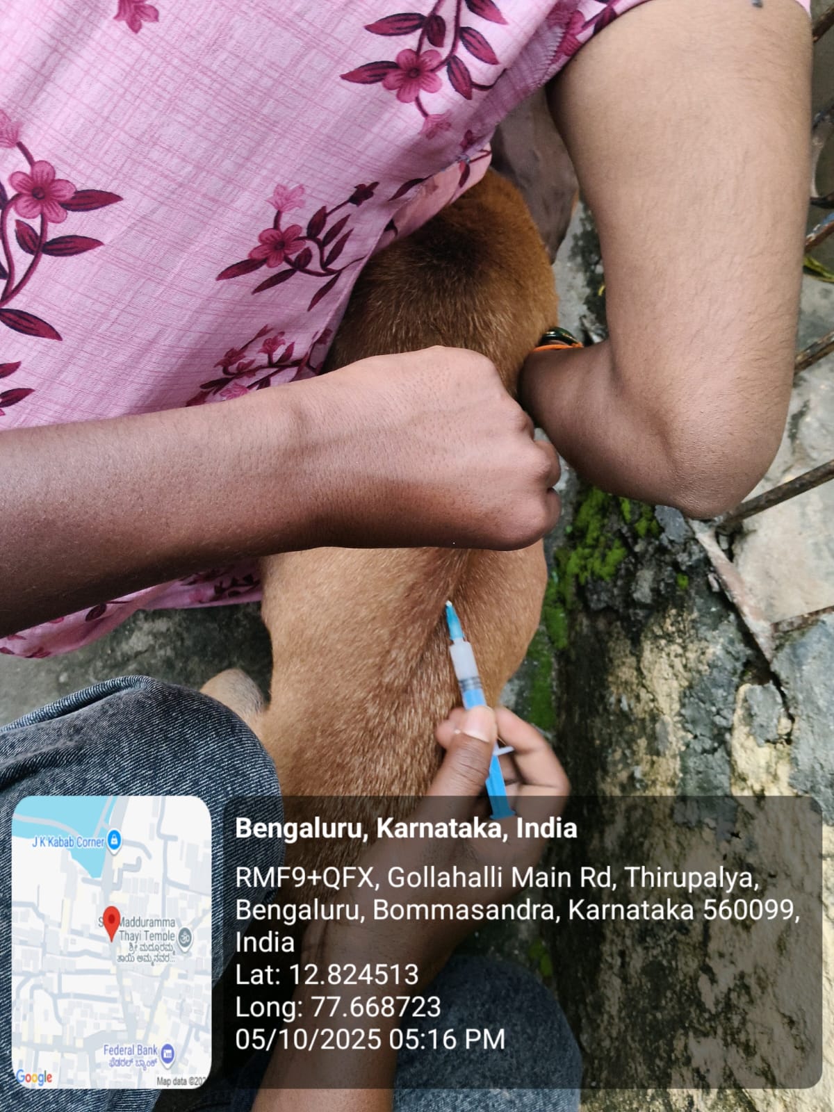 WhatsApp Image 2025-10-06 at 10.41.19 AM