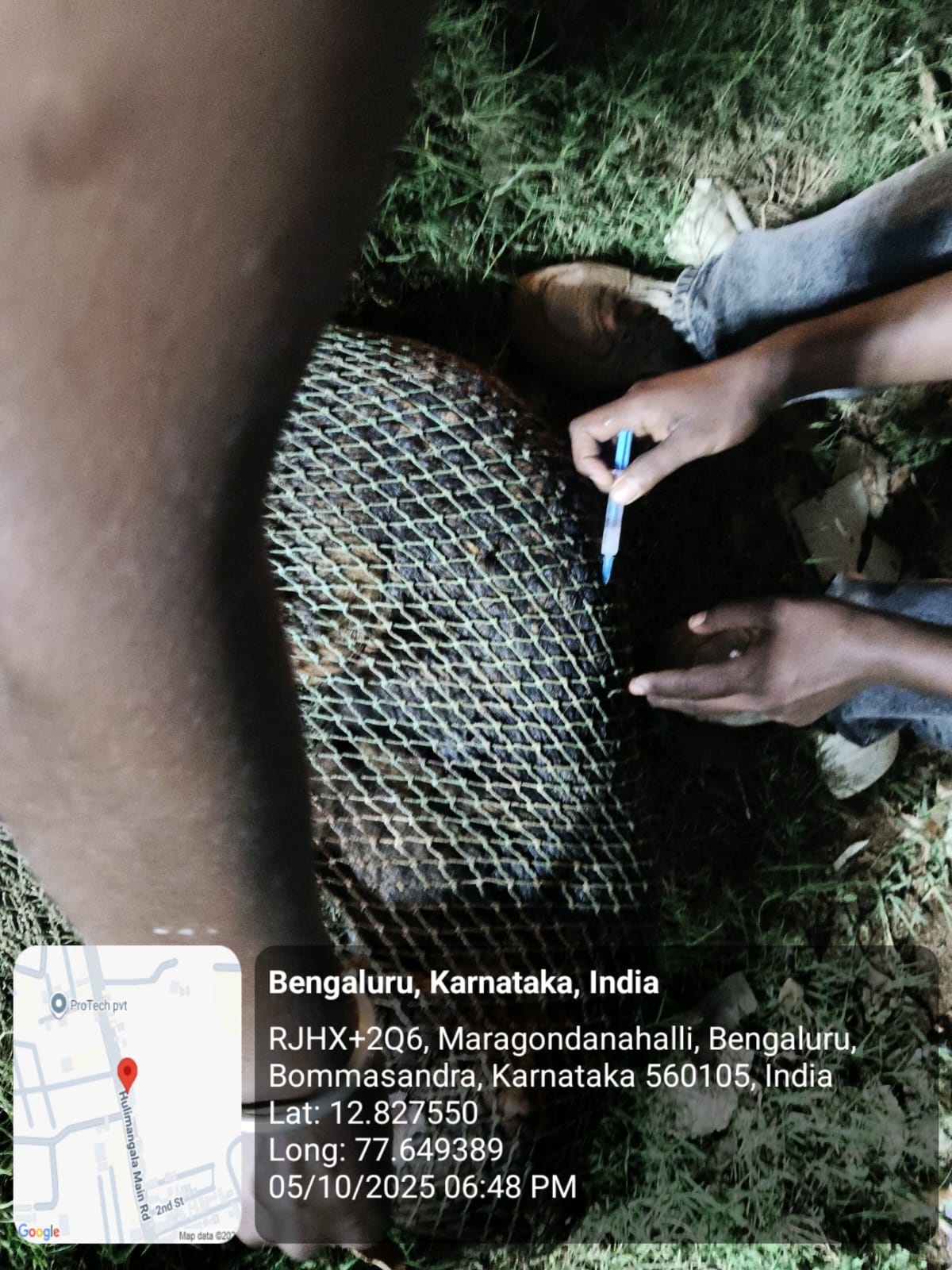 WhatsApp Image 2025-10-06 at 10.41.20 AM (1)