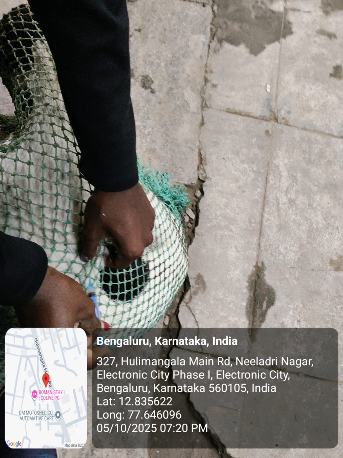 WhatsApp Image 2025-10-06 at 10.41.20 AM (2)