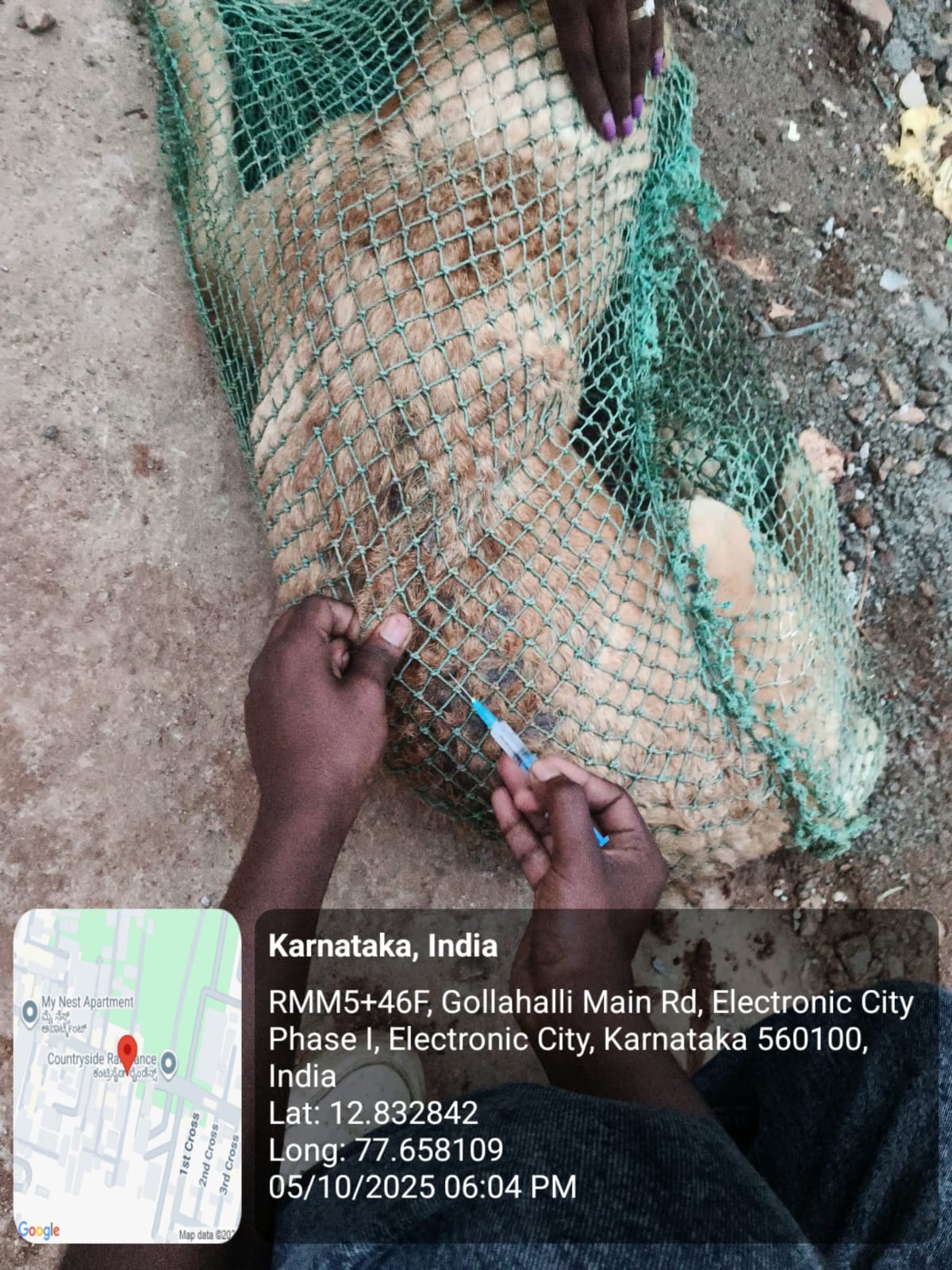 WhatsApp Image 2025-10-06 at 10.41.20 AM