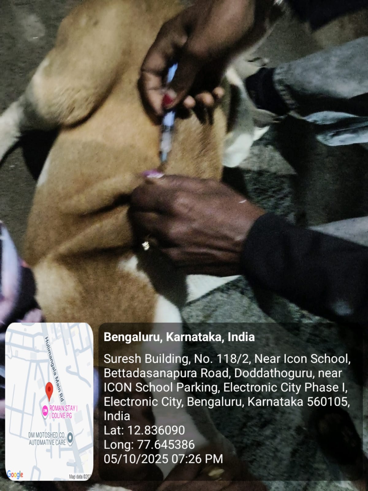 WhatsApp Image 2025-10-06 at 10.41.21 AM (1)