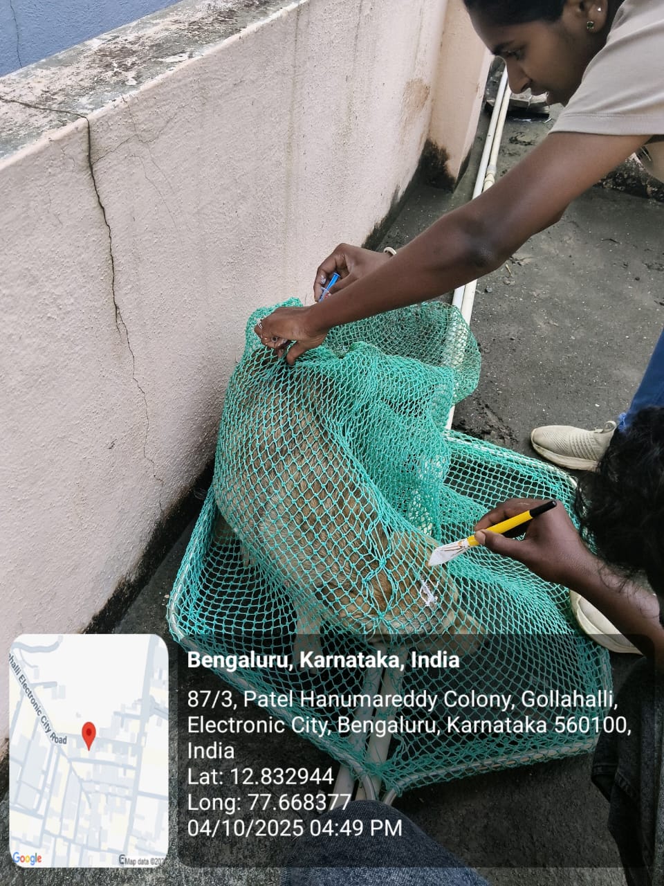 WhatsApp Image 2025-10-06 at 10.44.45 AM