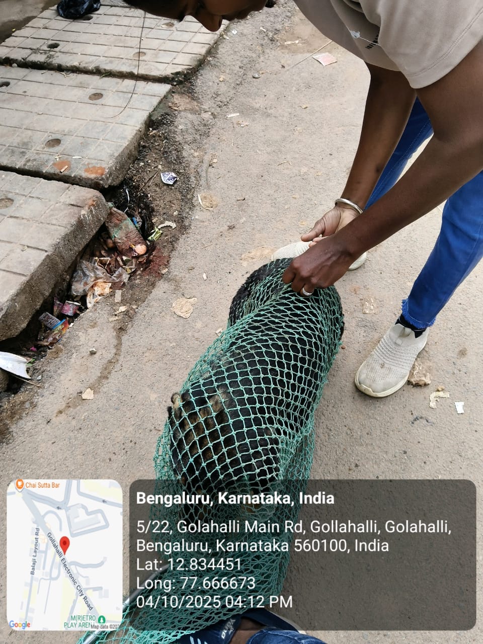 WhatsApp Image 2025-10-06 at 10.44.46 AM (1)