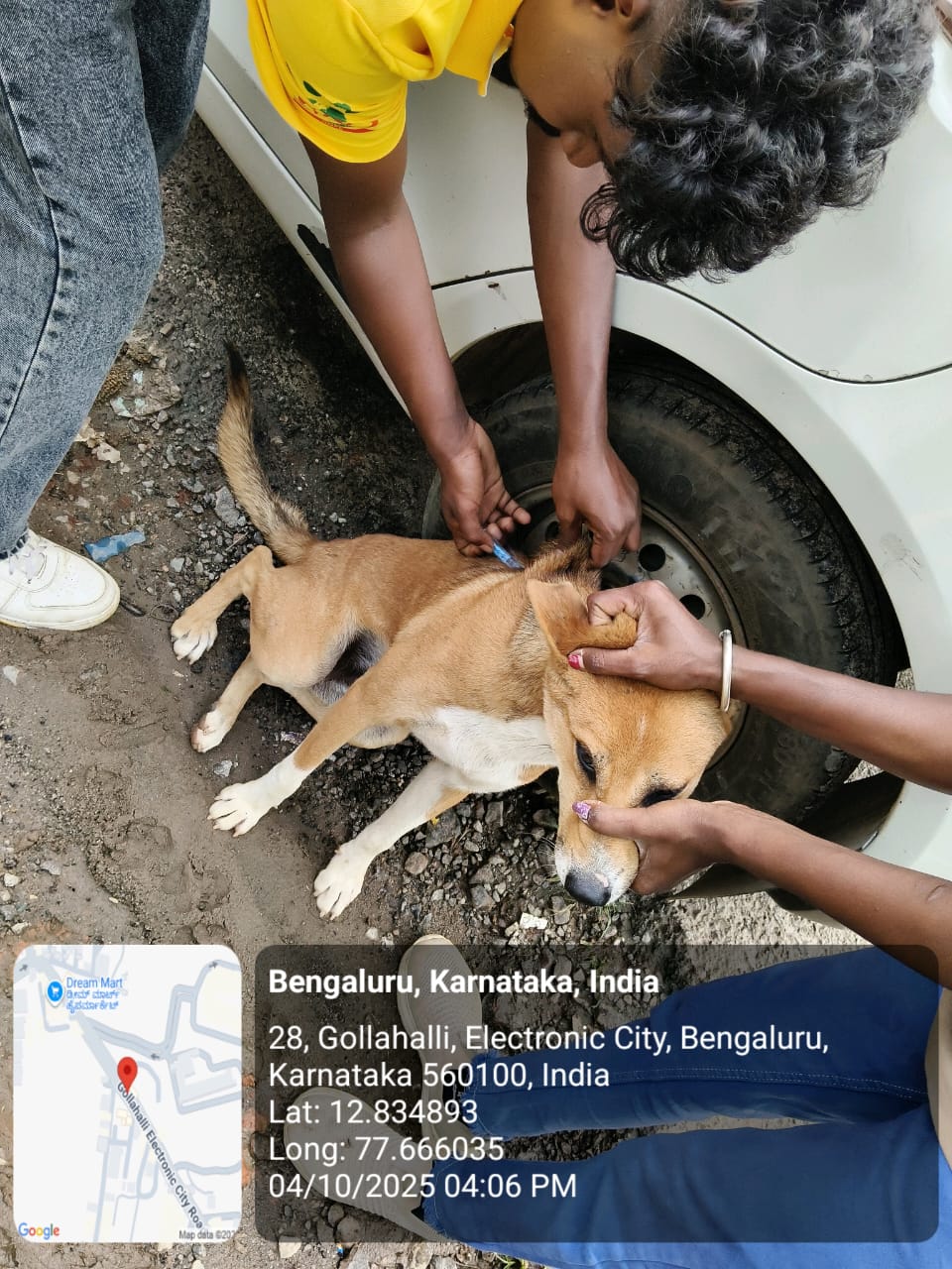 WhatsApp Image 2025-10-06 at 10.44.46 AM (2)