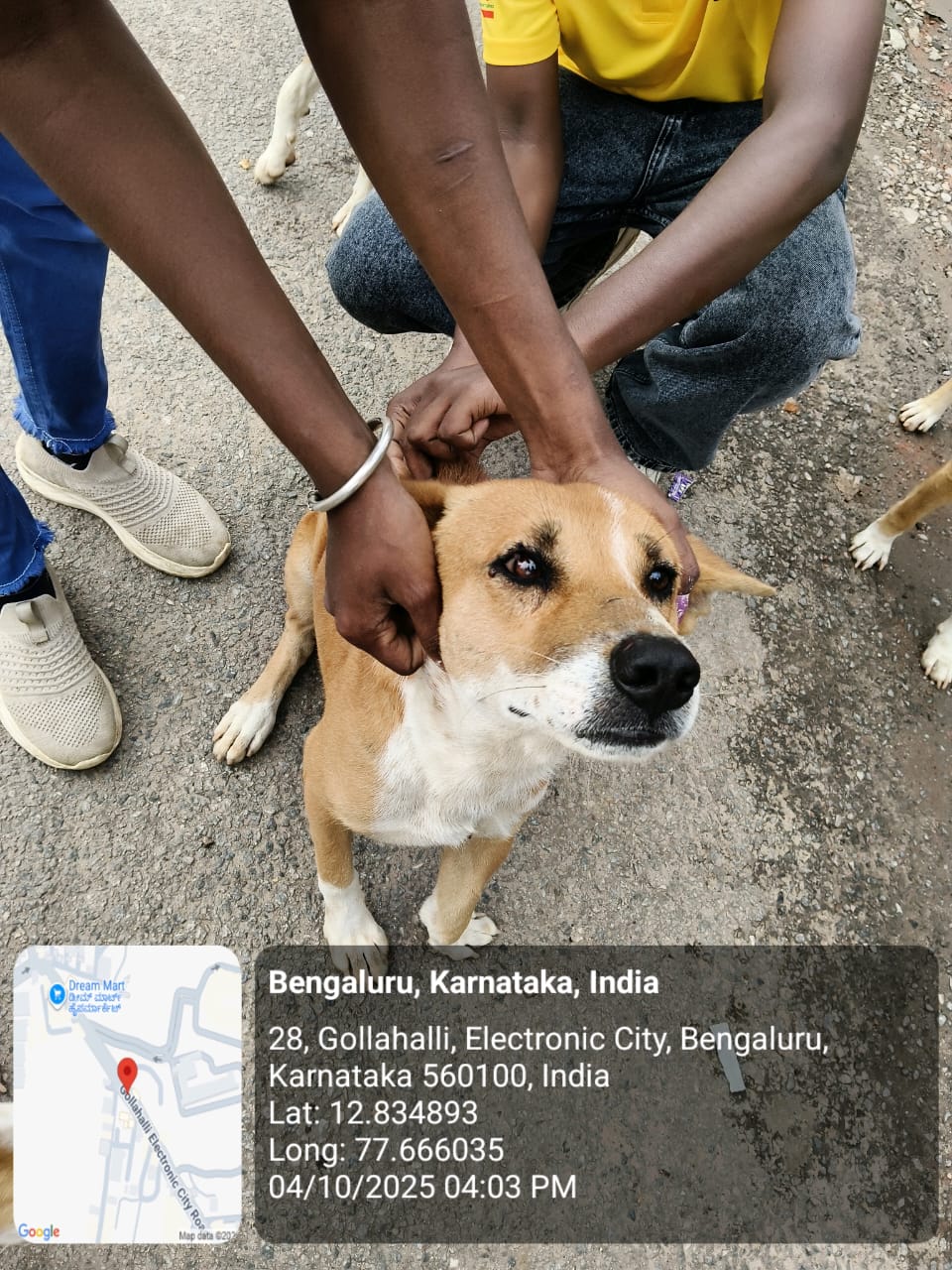 WhatsApp Image 2025-10-06 at 10.44.46 AM (3)