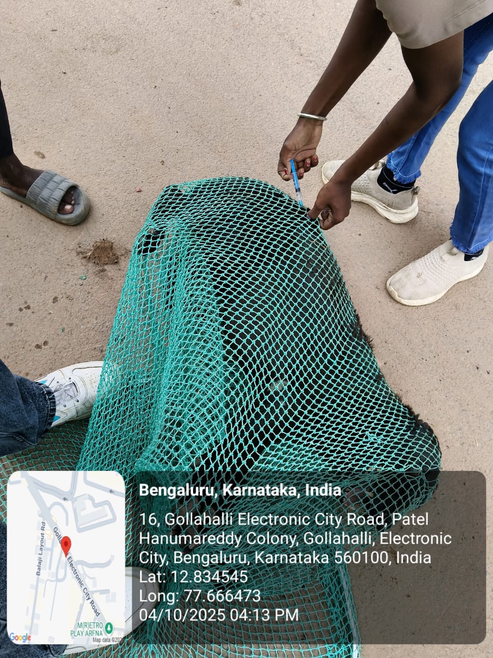 WhatsApp Image 2025-10-06 at 10.44.46 AM