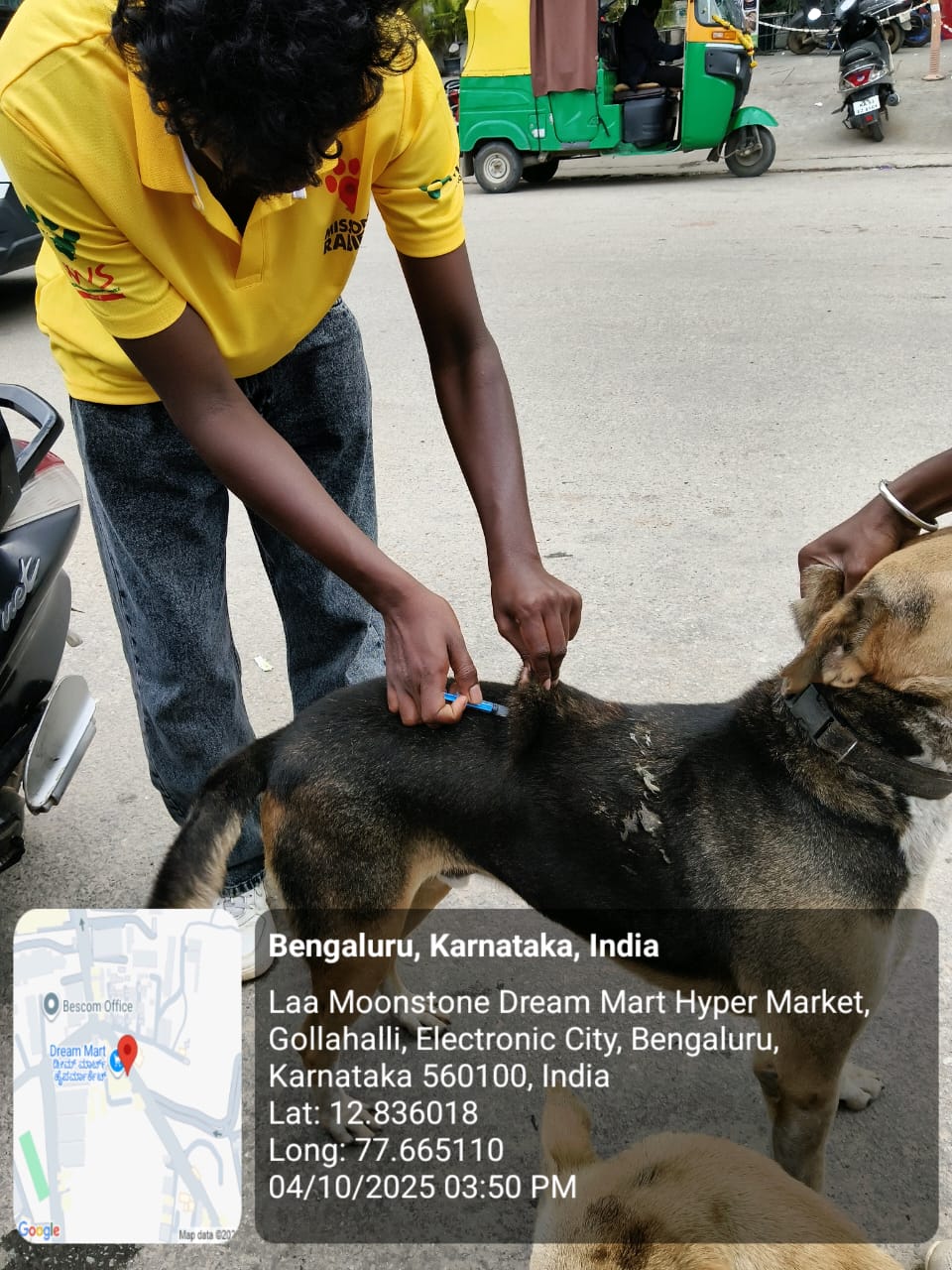 WhatsApp Image 2025-10-06 at 10.44.47 AM (1)