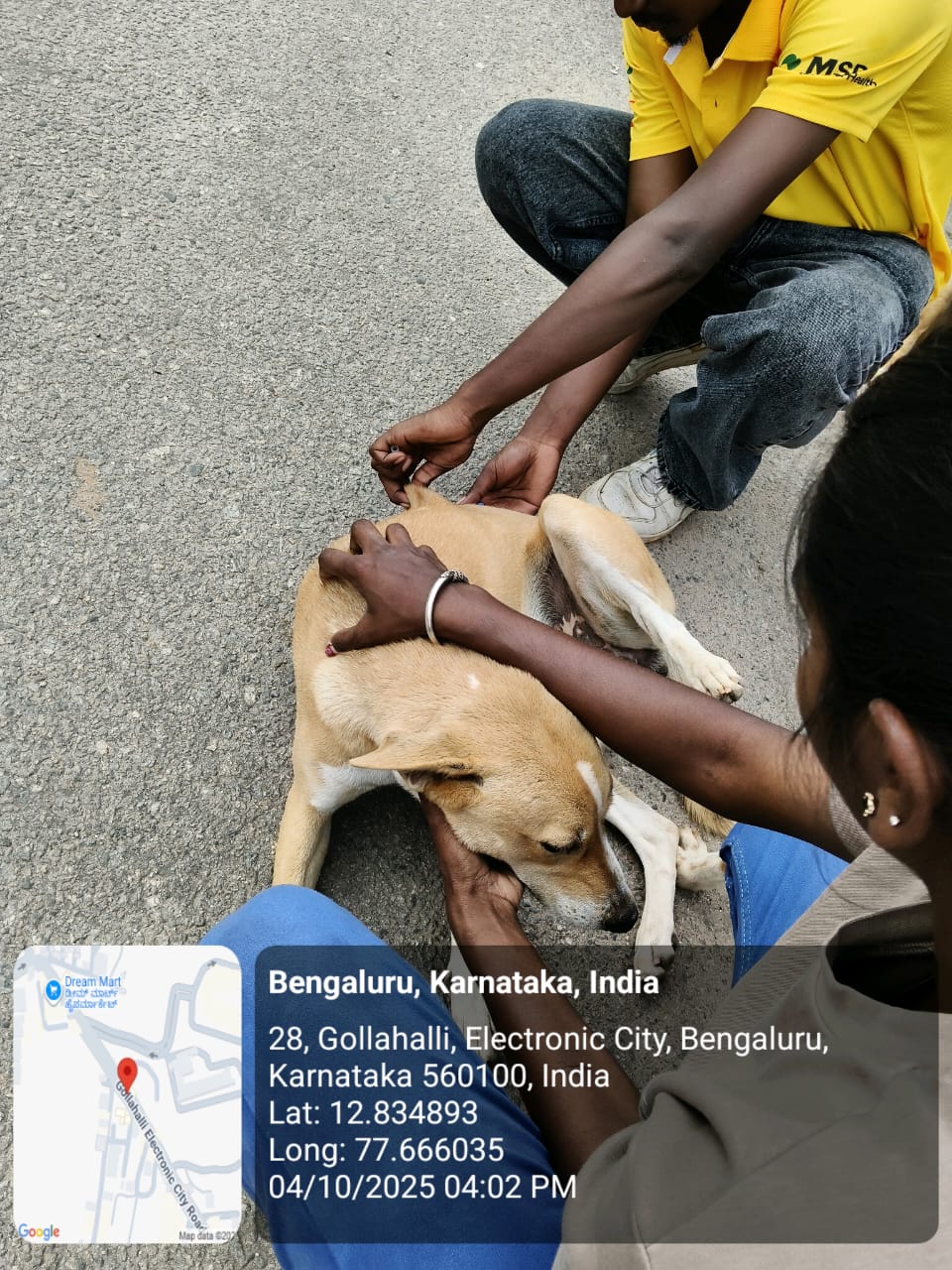 WhatsApp Image 2025-10-06 at 10.44.47 AM