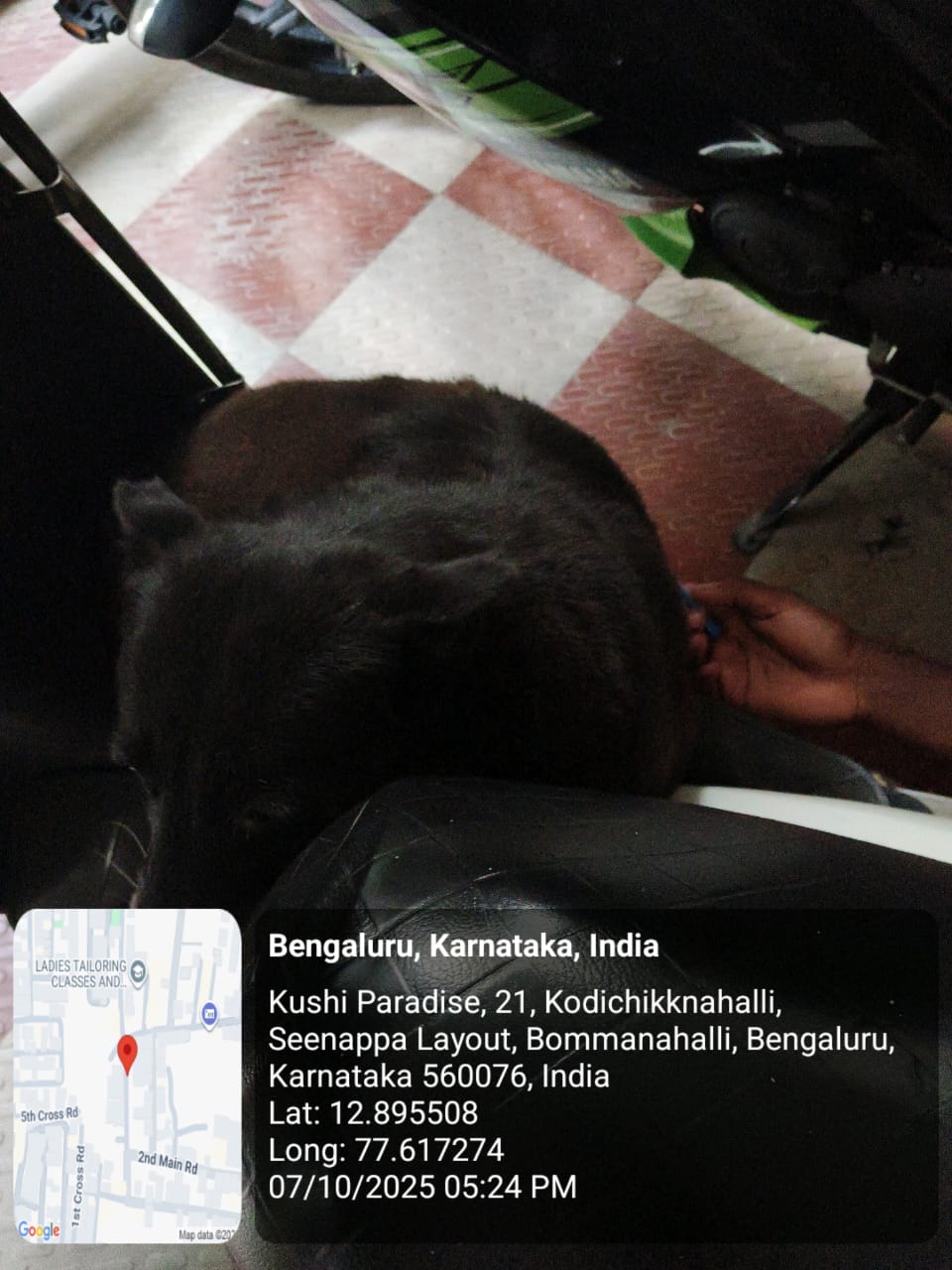 WhatsApp Image 2025-10-07 at 8.27.52 PM (1)