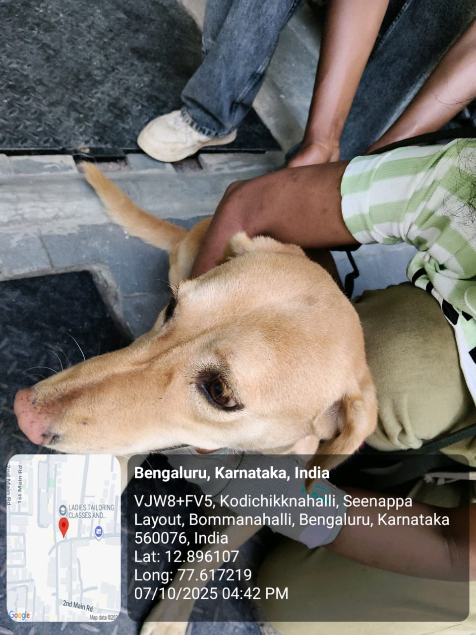 WhatsApp Image 2025-10-07 at 8.27.52 PM (3)