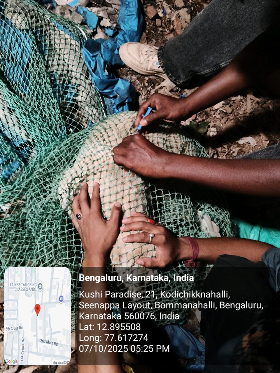 WhatsApp Image 2025-10-07 at 8.27.52 PM