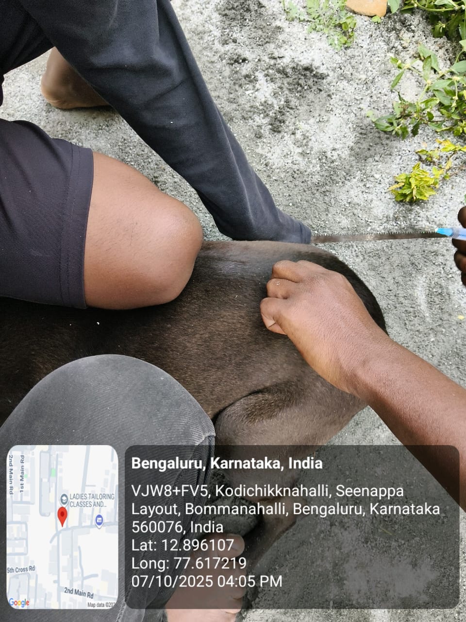 WhatsApp Image 2025-10-07 at 8.27.53 PM (1)