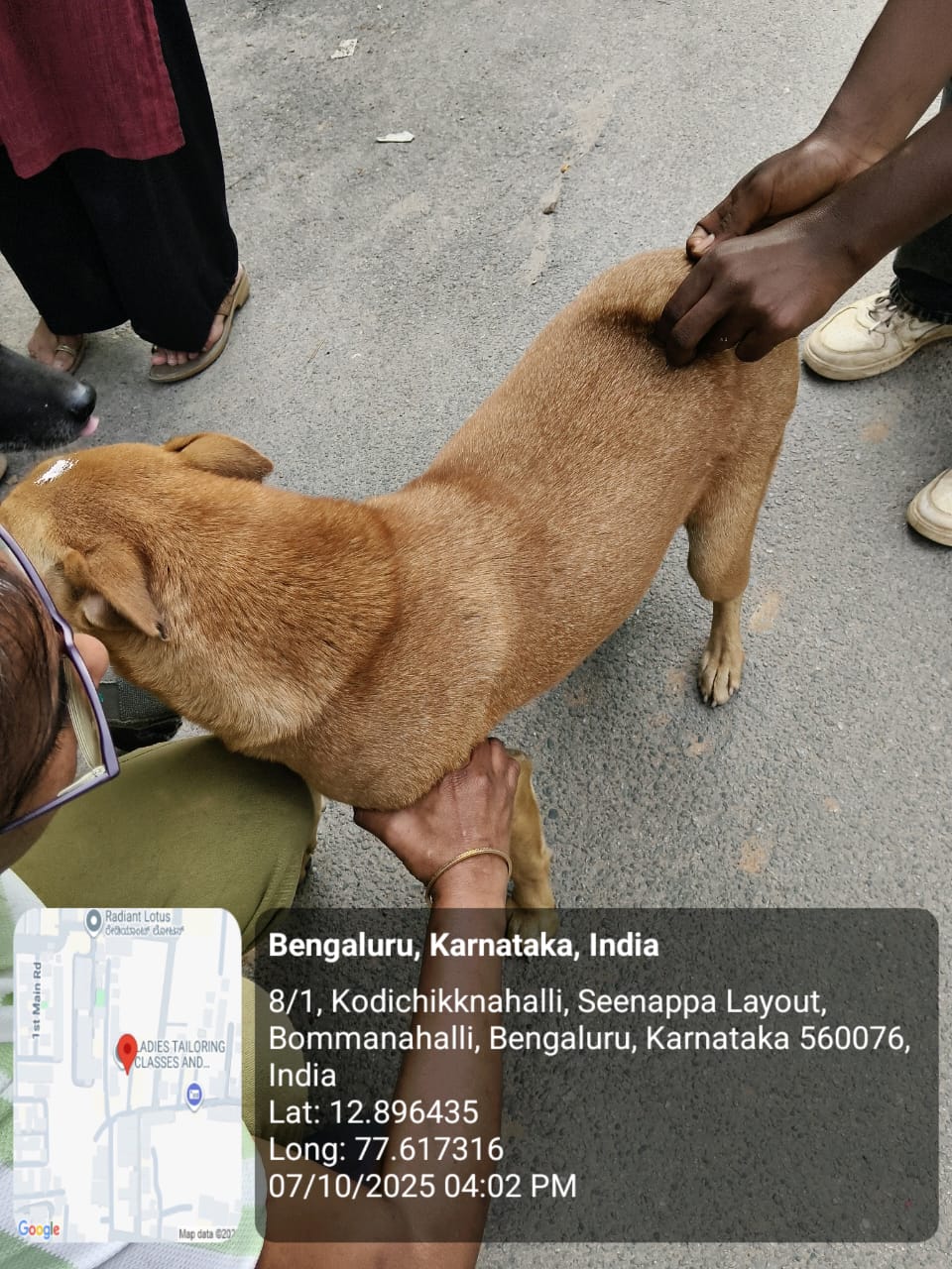 WhatsApp Image 2025-10-07 at 8.27.53 PM (2)