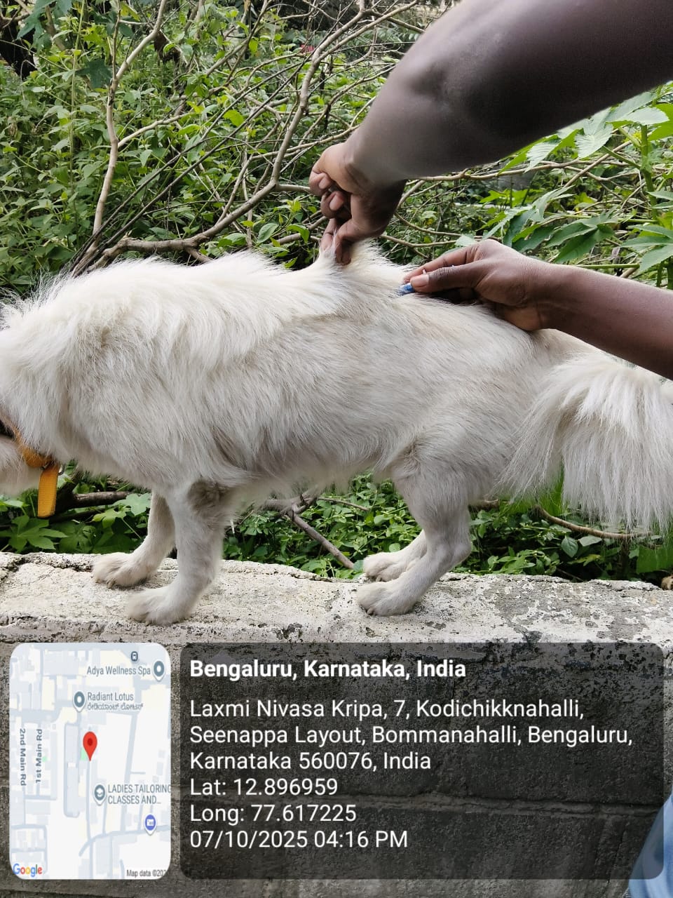 WhatsApp Image 2025-10-07 at 8.27.53 PM