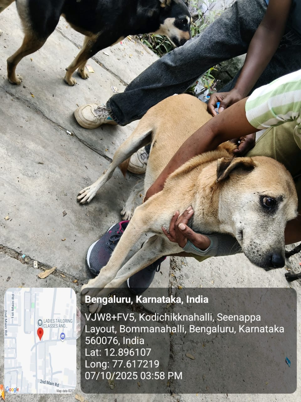 WhatsApp Image 2025-10-07 at 8.27.54 PM (1)