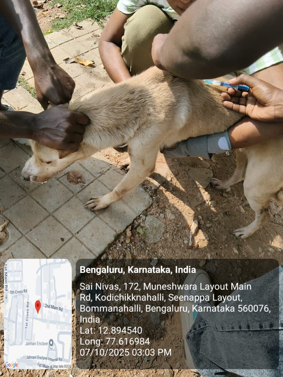 WhatsApp Image 2025-10-07 at 8.27.54 PM (2)