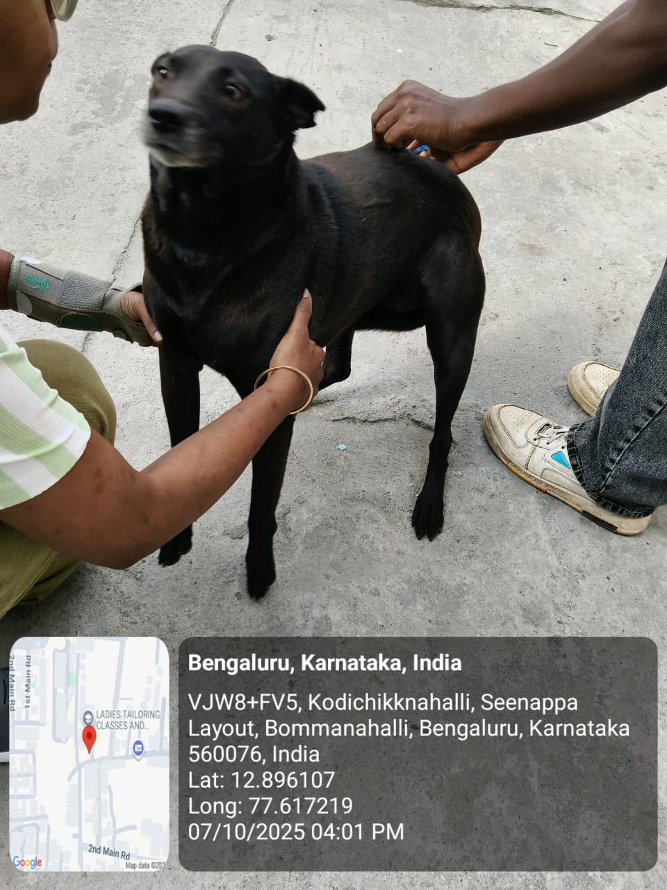 WhatsApp Image 2025-10-07 at 8.27.54 PM