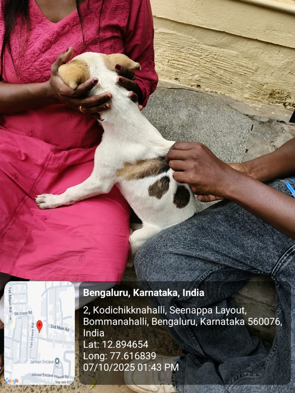 WhatsApp Image 2025-10-07 at 8.27.55 PM (2)