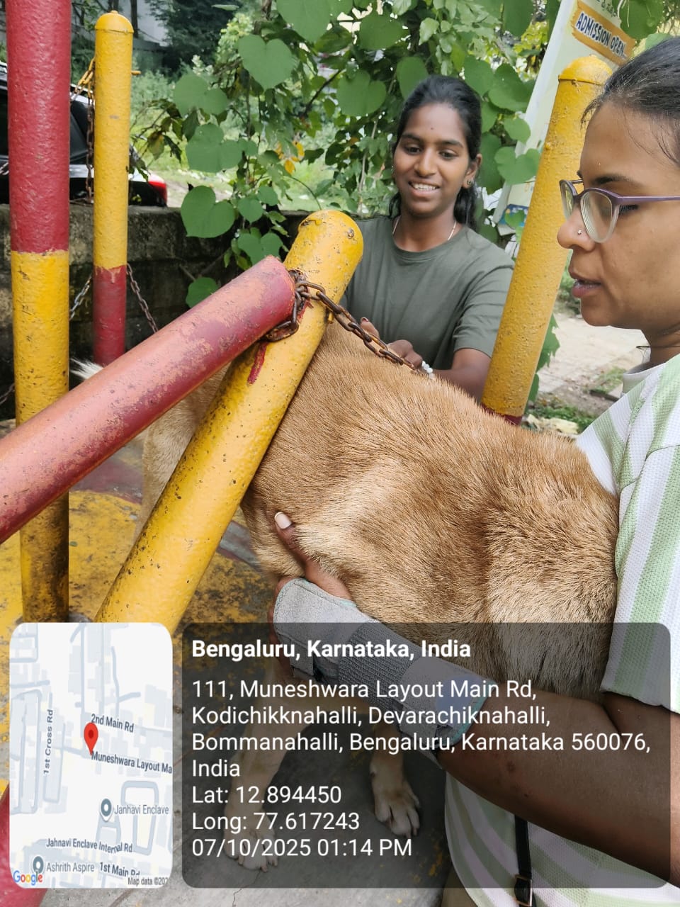 WhatsApp Image 2025-10-07 at 8.27.56 PM