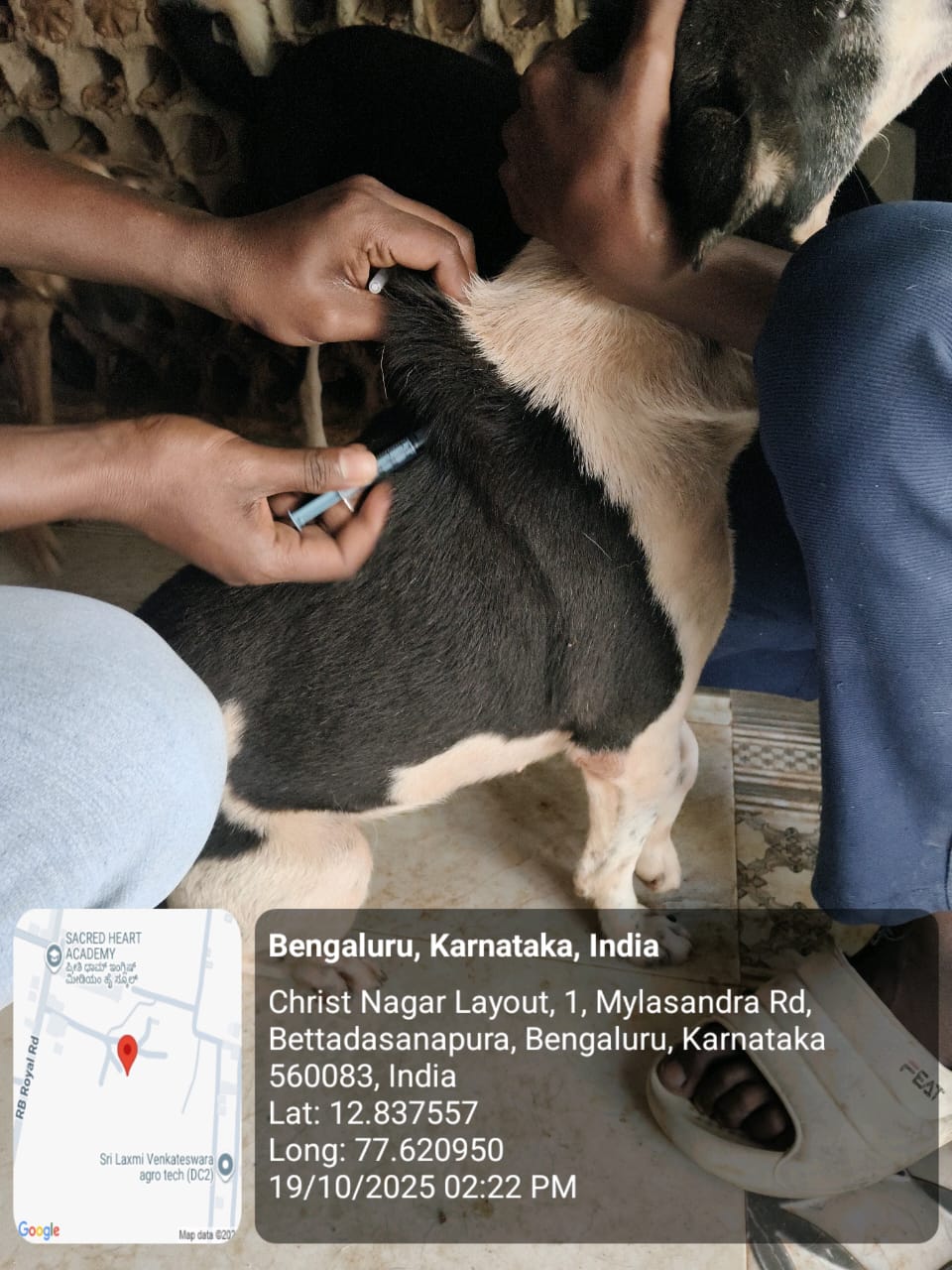 WhatsApp Image 2025-10-29 at 1.35.22 PM