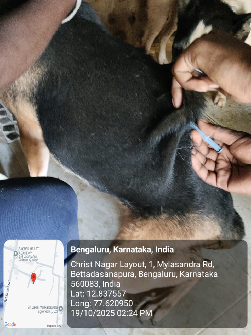 WhatsApp Image 2025-10-29 at 1.35.23 PM (1)