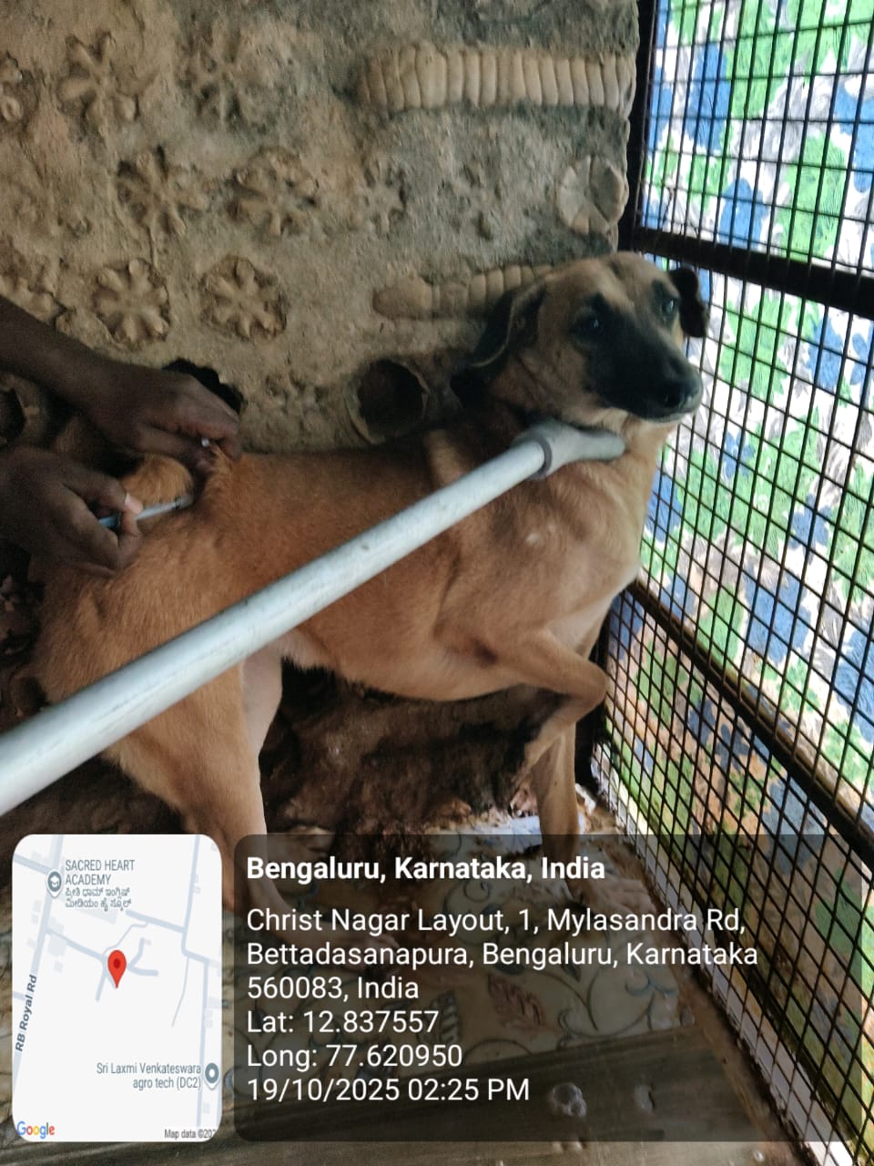 WhatsApp Image 2025-10-29 at 1.35.23 PM (2)