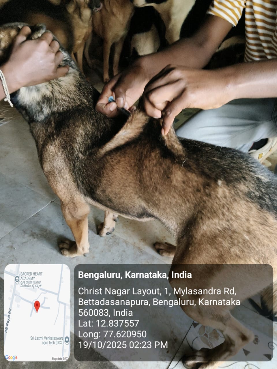 WhatsApp Image 2025-10-29 at 1.35.23 PM