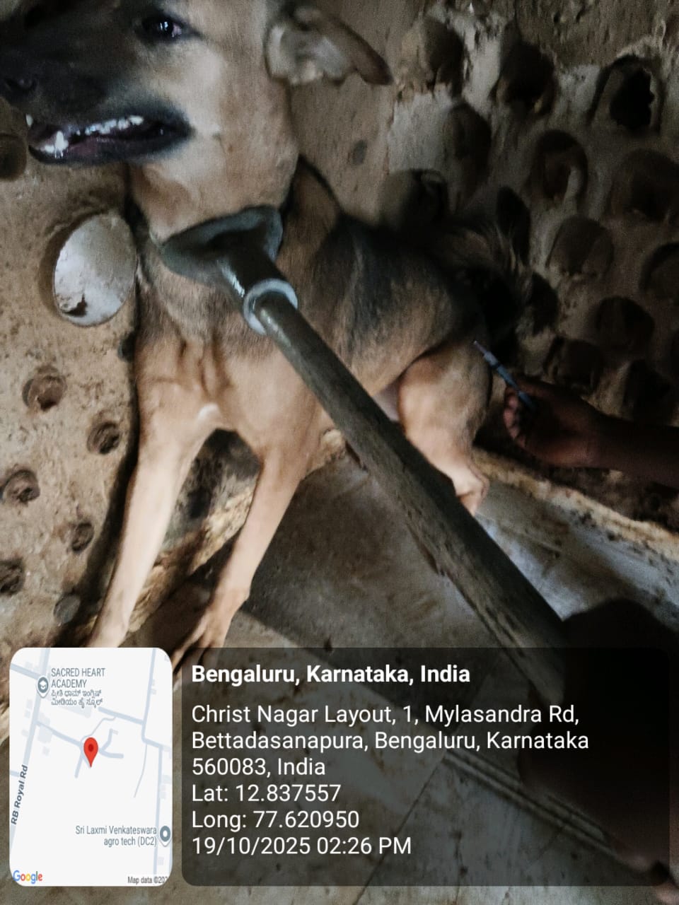 WhatsApp Image 2025-10-29 at 1.35.24 PM (1)