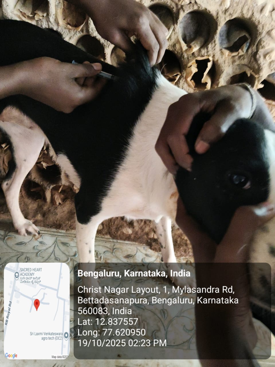 WhatsApp Image 2025-10-29 at 1.35.24 PM