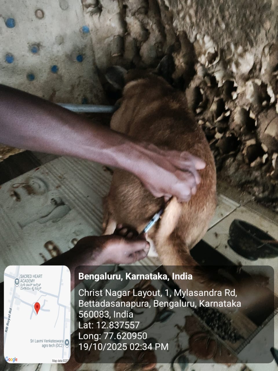 WhatsApp Image 2025-10-29 at 1.35.25 PM (1)