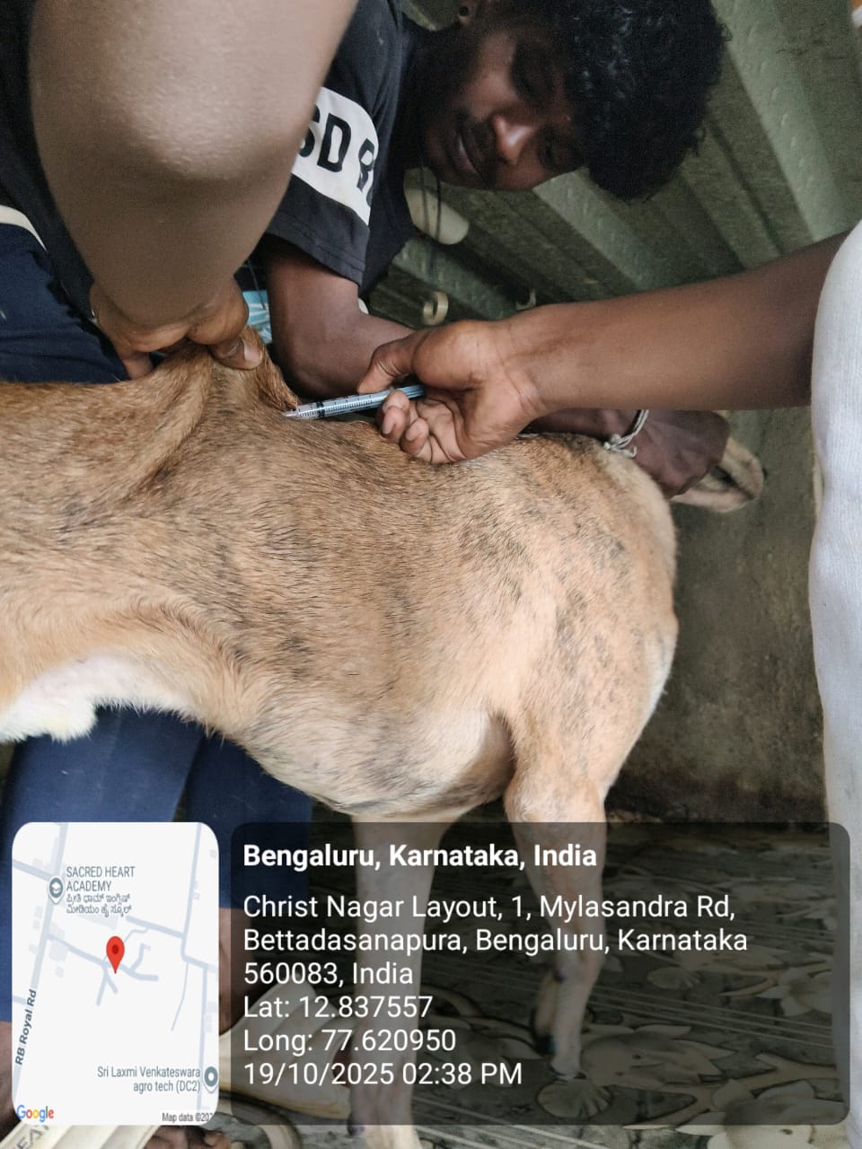 WhatsApp Image 2025-10-29 at 1.35.25 PM (2)