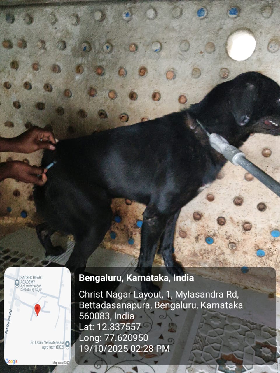 WhatsApp Image 2025-10-29 at 1.35.25 PM