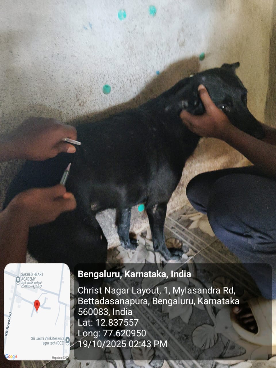 WhatsApp Image 2025-10-29 at 1.35.26 PM (1)