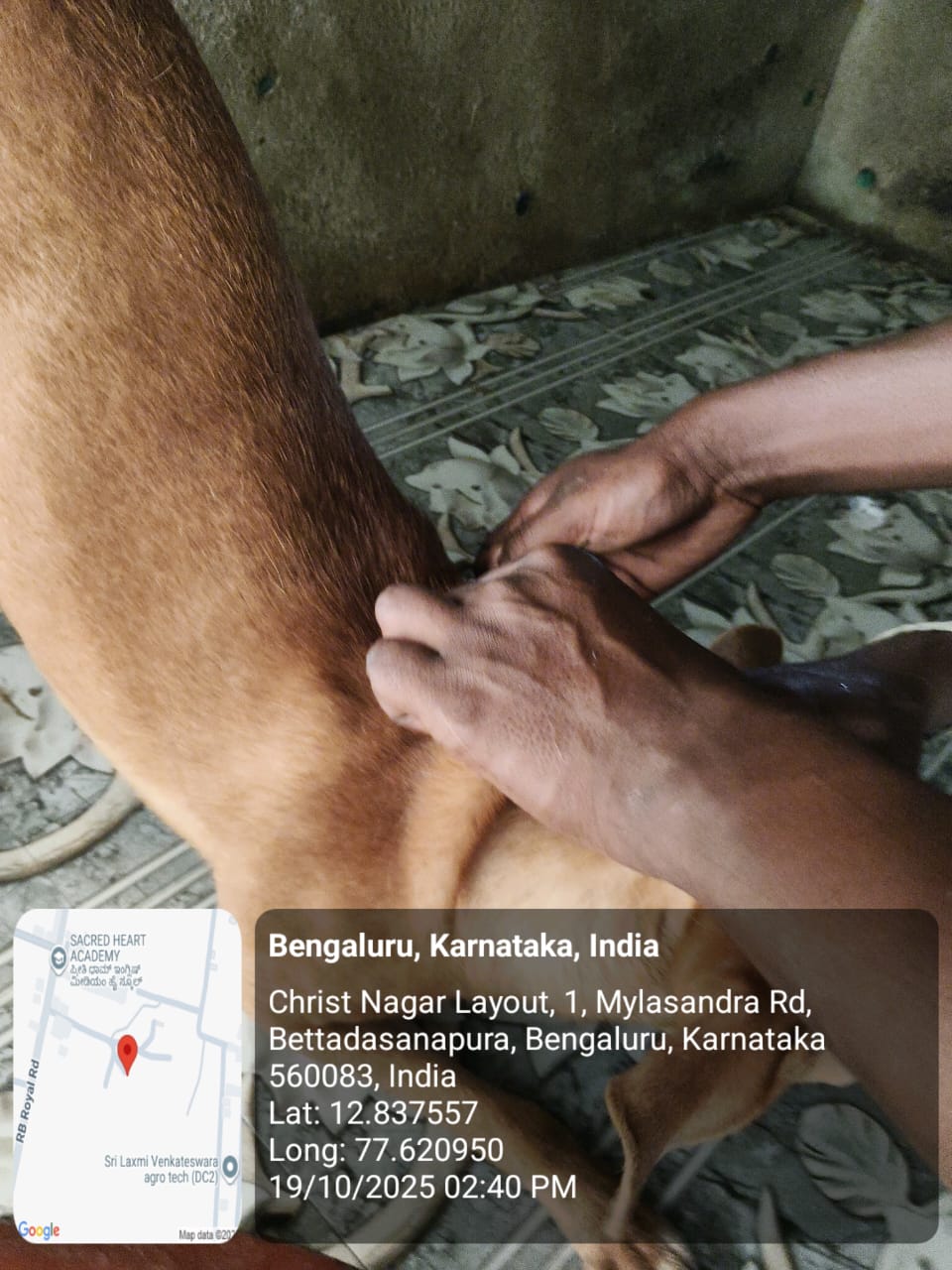 WhatsApp Image 2025-10-29 at 1.35.26 PM