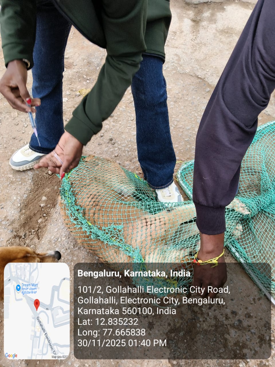 WhatsApp Image 2025-12-02 at 2.37.07 PM (2)